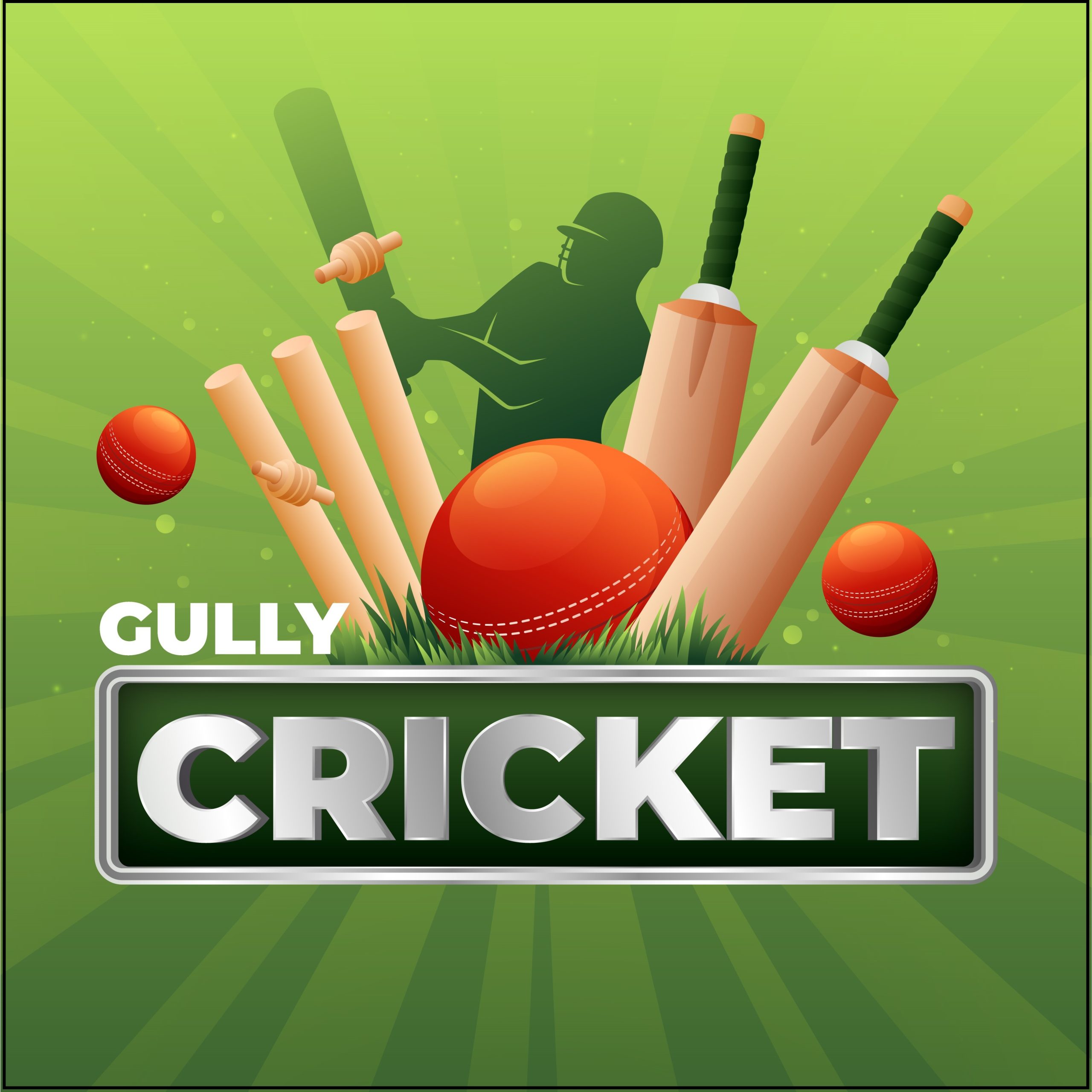 Gully Cricketers Lincoln (@GullyLincoln) / X